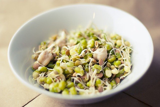 Sprouting Seeds