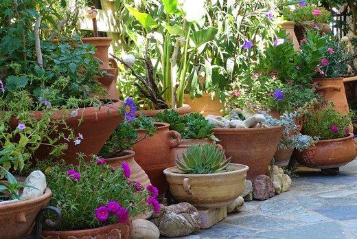 Pots & Planters