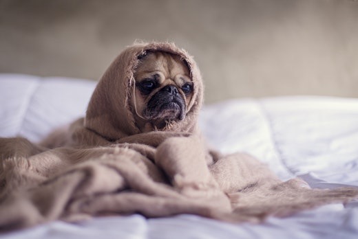 Blankets & Sets
